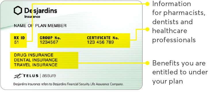 Image showing the front of the payment card and the information printed on it: the plan member’s name, the insurer identification number (12), the group number, the certificate number and a list of the benefits the plan member is entitled to under his plan.